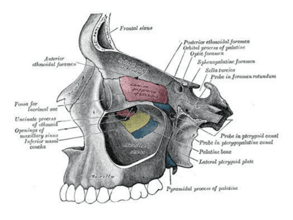 dental implant risks